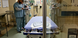 flu update custom c ef dec b ec c adbd a s c