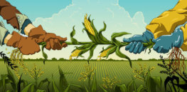 GMO WEB e