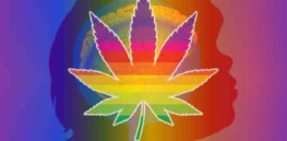 Marijuana Study On Treating Autism