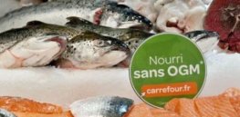 Nourri sans OGM e