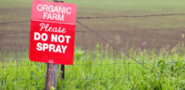 Organic Do Not Spray e