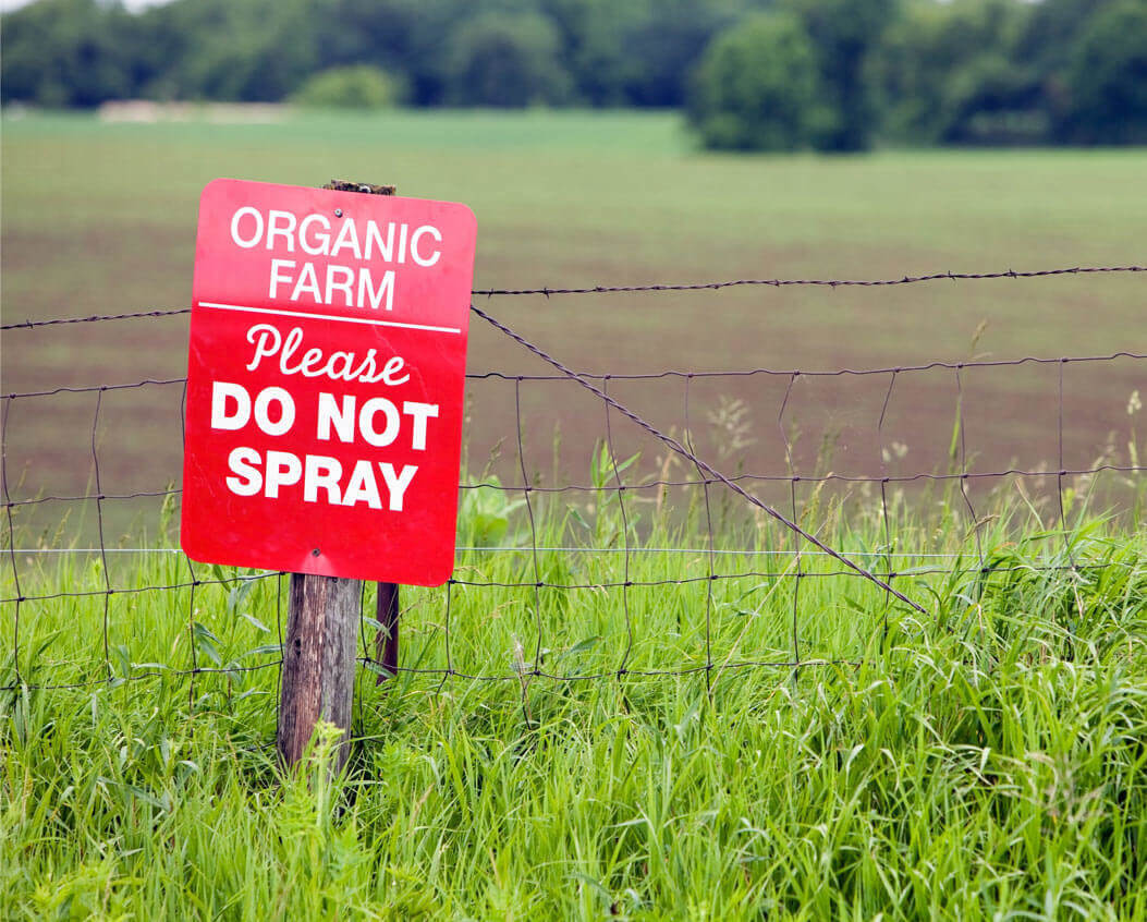 Viewpoint: Small-scale organic farming's ‘costly indulgence'—Unlike genetically engineered crops, sustainability myths cannot reduce chemical use and increase yields on less land