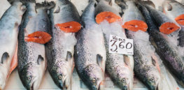 atlantic salmon market dispaly fresh display label contains no trademarks