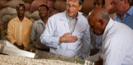bill gates e