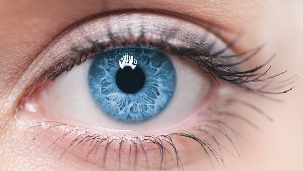 blind