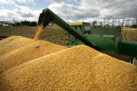 corn combine
