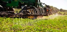cotton herbicide spray enlist
