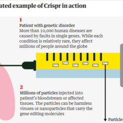 crispr