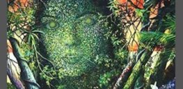 ec d d f f i agree plants do have a consciousness