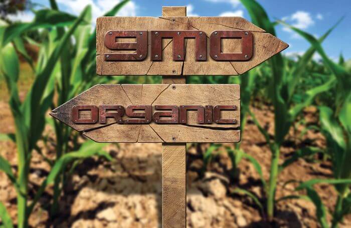 gmo organic sign
