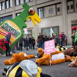 monsanto gly eu x