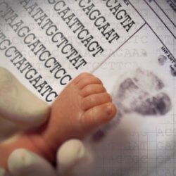 newborn