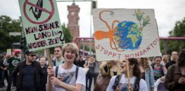 European Union court rules activists can challenge EU approval of GMOs