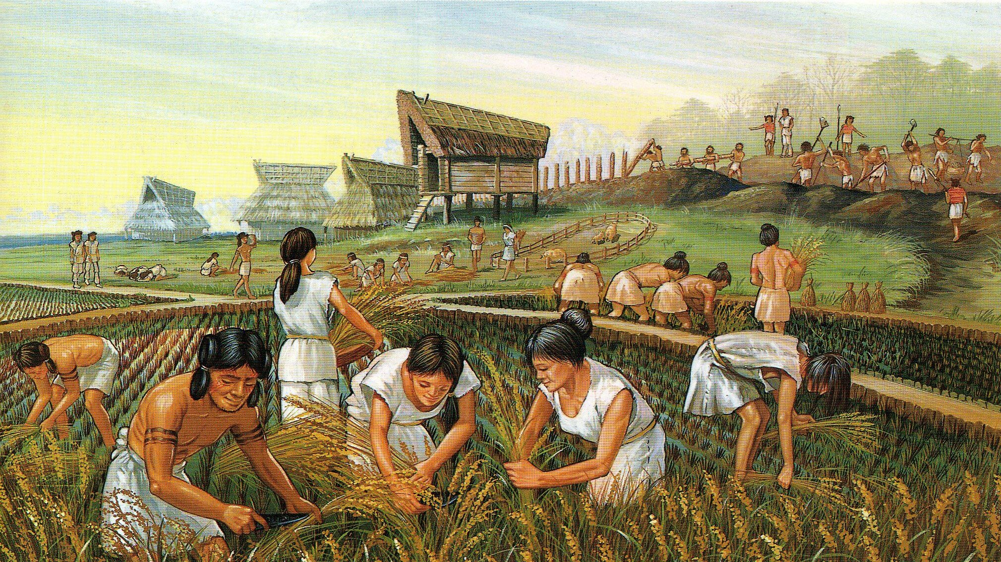 What Does Agricultural Revolution Mean In Science