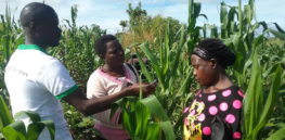 FAW Uganda project photo by Pascal x
