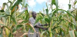 UNDPUganda SLM David Muhoozi Lyantode farmer