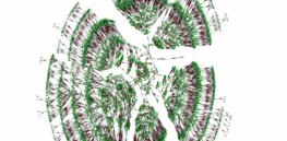 family tree kaplanis HR ngsversion adapt