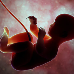 fertility