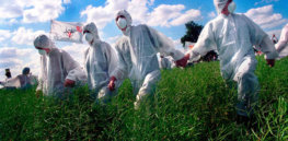 greenpeace gmo protest main