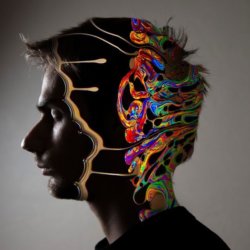 lsd stress and anxiety