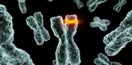 mutation png