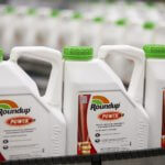 roundup monsanto bayer merger