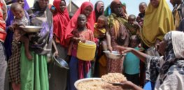 somalis apfarahabdiwarsameh