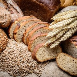 whole grain breads jpg x q