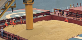 col T Z RC B RTRMADP BRAZIL GRAINS SANTOS copy