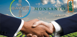 Bayer Monsanto Merger