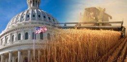Farm bill National Review