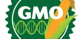 GMO labeling bill defeated in Canadian parliament wrbm large