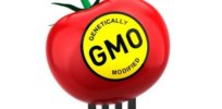Pompeo bill would preempt state GMO labeling strict xxl