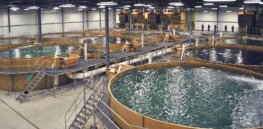 SIS Aquaculture