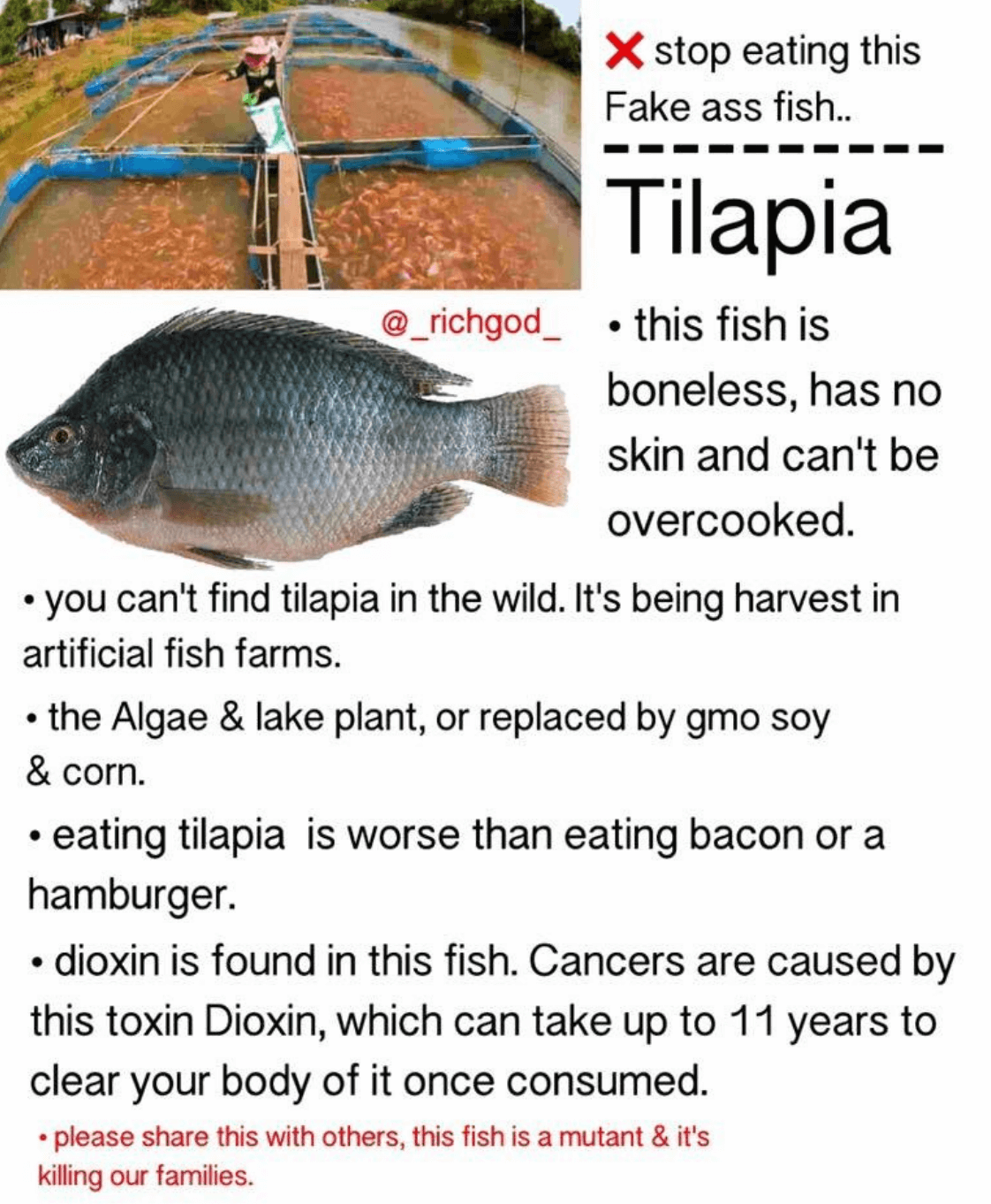 Is tilapia a human-made freak that we should avoid — or an