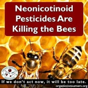 bees exposed to systemic pesticides are unable to gather enough pollen neonicotinoids kill honeybees