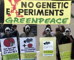 india spy agency says greenpeace endangers economic security