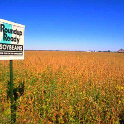 roundup