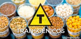 transgenicos o que sao biomercado brasil x