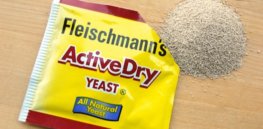 yeast
