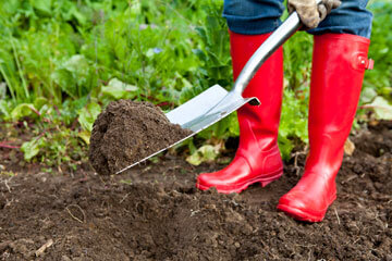 Digging garden