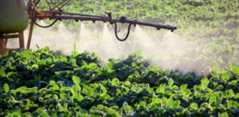 Herbicide Plant Spray Crops Poison