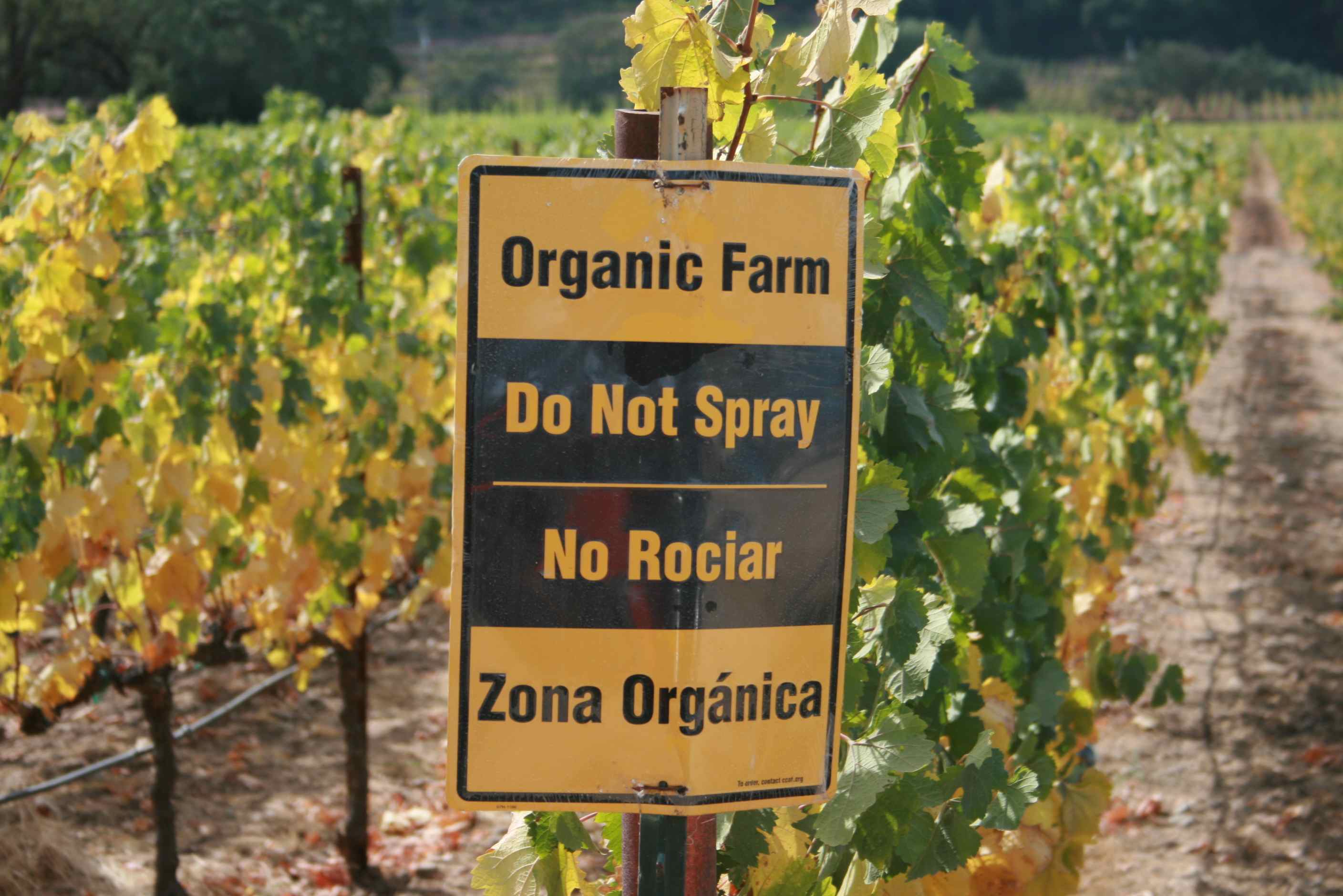 The smart Trick of Pestcides In Organic Farming That Nobody is Talking About