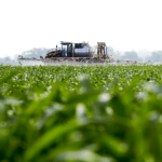 SprayingcorninKansas