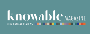 knowable logo