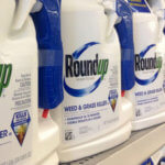 roundup
