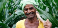 In push for access to GMO seeds, Indian farmers turn to social media