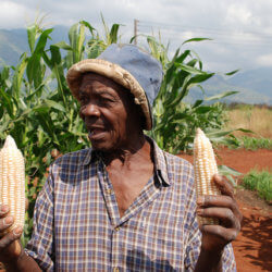 African farmer