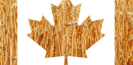 CanadaWheat Embedded