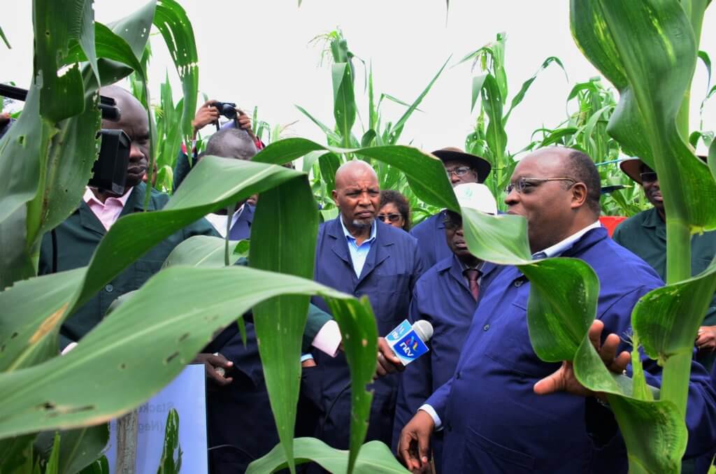 G Bor checking out Kenya Bt maize test field